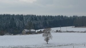 Creuse farmland in Winter.