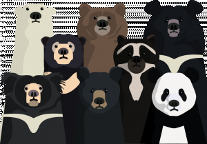 Bear family portrait :)