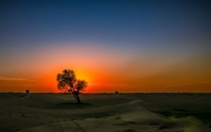 Winter Sunset Dubai Desert