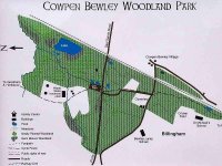 Cowpen Bewley Woodland Park.jpg