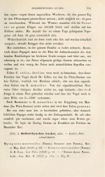 Finsch 1868 - p.121.jpg