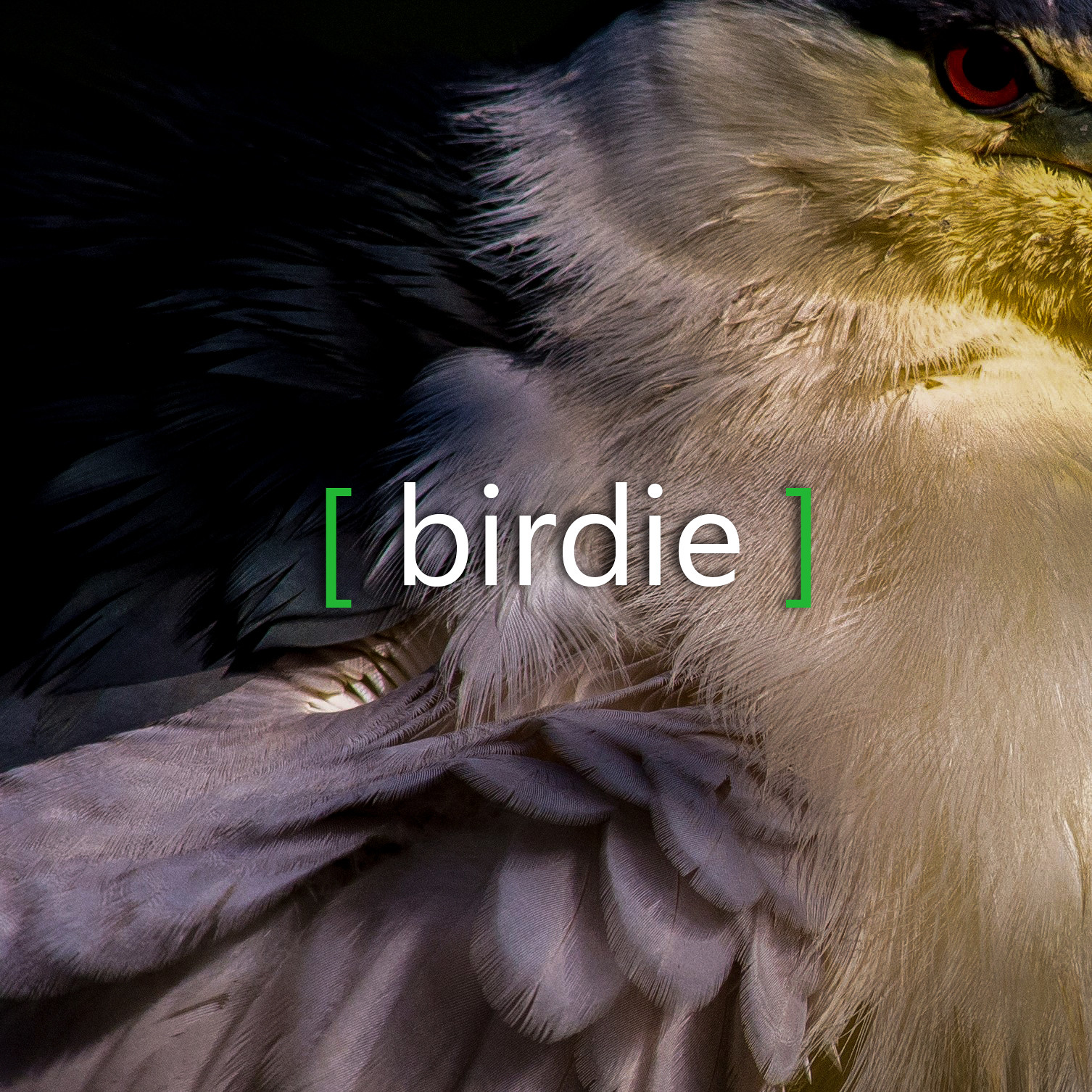 birdiegame.net