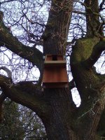 Owl Box Coney Meadow.jpg