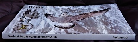 Norfolnk Bird Report 2018.jpg