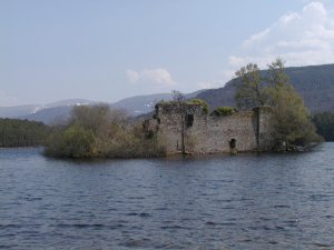 Loch an Eilein Castle,a Cormorant and Cairngorms