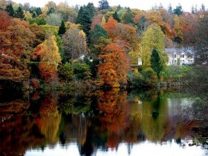 Autumn at Pitlochry