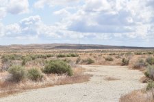San Joaquin Desert  2024-05-05.JPG
