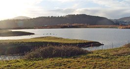 CONWY RSPB 19 01 2014 (23).JPG