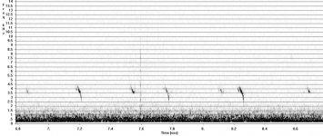 Crossbill_Fc_Durris_170208e.jpg