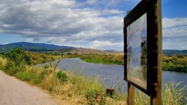 Tsiknias River Lesvos Greece wading birds, terns, warblers, pratincole, storks, herons 100515.jpg