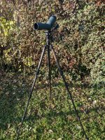 tripod  1.jpg