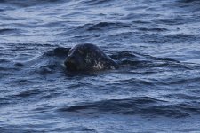 06_20220928 (13)_Common_Seal.JPG