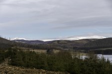 Lansdscape shot across Backwater reservoir showing snow capped hills and a distant bird