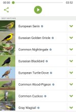 Screenshot_20230617_170204_Merlin Bird ID~2.jpg