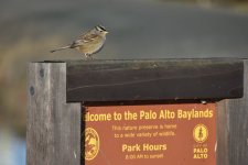 Welcome to the Palo Alto Baylands 2024-01-07 a.JPG