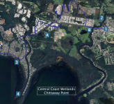Chittaway Point @ Central Coast Wetlands .png