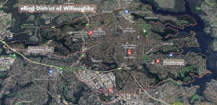 Willoughby - Northbridge to Mowbray Park.png