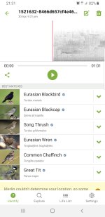 Screenshot_20240430-213142_Merlin Bird ID.jpg
