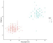 MBW wing-weight.jpeg