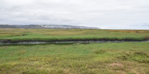 Tijuana River ERR 2024-05-17.JPG