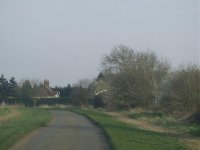 Beds barn owl 5.jpg