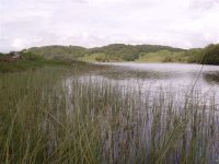 Black Lochs, Oban.jpg