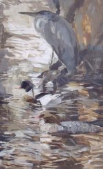 heron merganser goosander.JPG