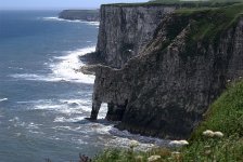 Bempton Cliffs.jpg