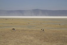 Ngorongoro2.JPG