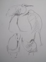 brittany sketches 043.jpg