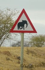 Elephant Sign P1040184.JPG