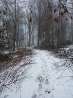 Winsel footpath.jpg