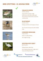 Bird Identification Guide - El Gouna Park - Page 3.jpg