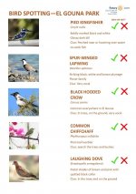 Bird Identification Guide - El Gouna Park Page 2.jpg