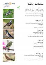 Bird Identification Guide - El Gouna Park - Arabic - Page 2.jpg