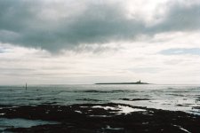 Coquet Island from the south pier.jpg