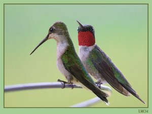 2 Hummers