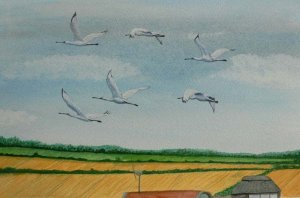 Spoonbills over Cley