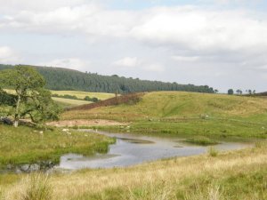 Up the Hill Lochan