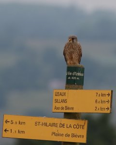 plaine de Bièvre