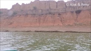 River Lapwing : at River Chambal : Amazing Wildlife of India by Renu Tewari and Alok Tewari