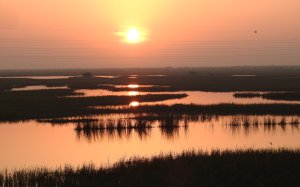 Sunrise on wetland