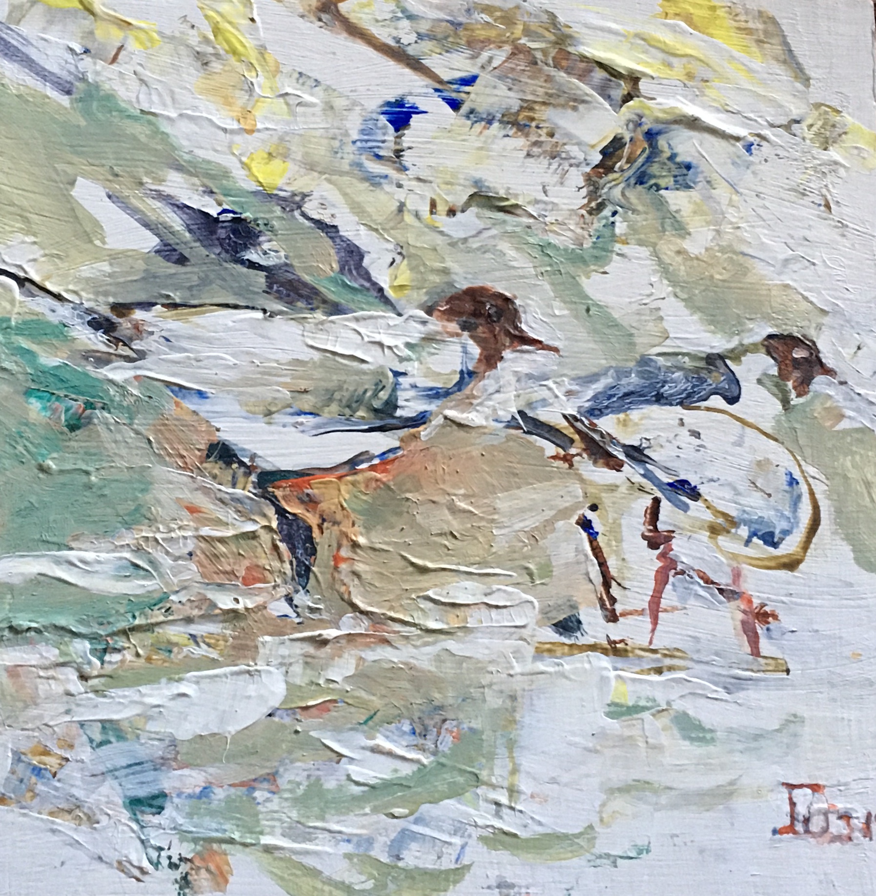 “Storm Birds”