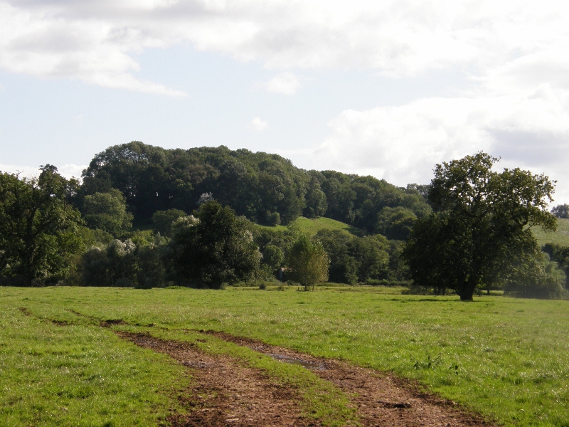 Llanfihangel Gobion