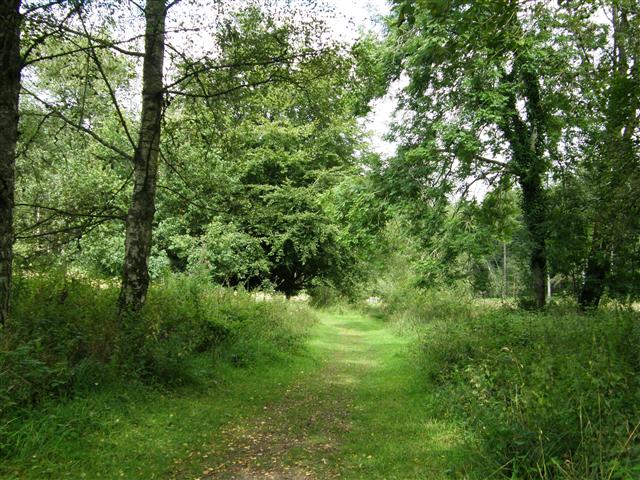 Nagshead Reserve path