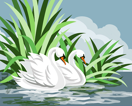 Two White Swans