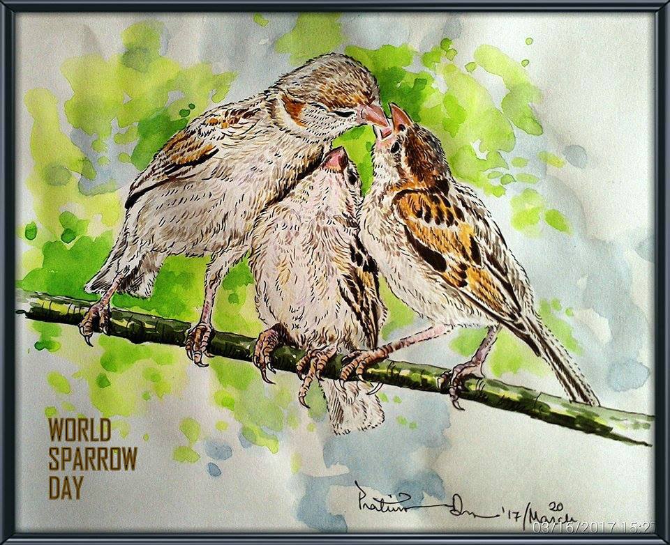 World sparrow Day