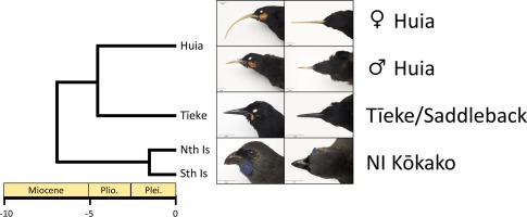 www.sciencedirect.com