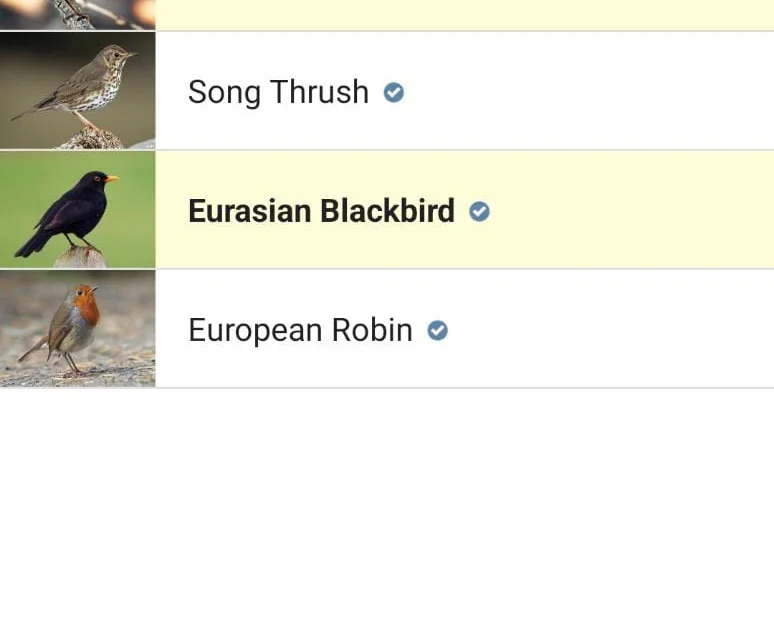 www.birdguides.com