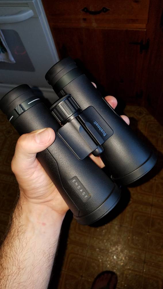 Best Binocular $500 or Less | BirdForum